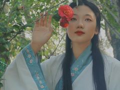 -王借岗森林公园