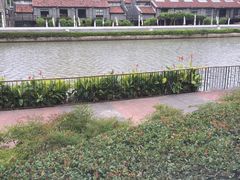 -新湖明珠城