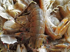 -顶之鲜海鲜餐厅