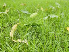 -汉长安城未央宫国家考古遗址公园