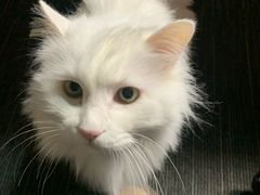 -肯德基(学院路店)