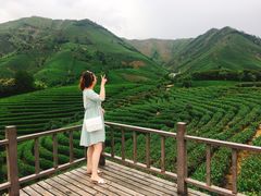 -帐篷客·溪龙茶谷度假酒店