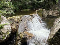 -牛背梁国家森林公园