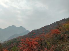 -水峪民俗村