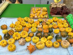 -中环花鸟鱼虫市场