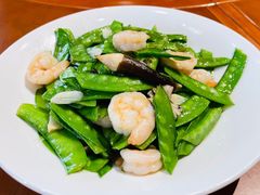 -翠林云庄大酒店