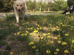 -永定河休闲森林公园