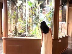 -帕帕拉兹宠物(亚洲旗舰店)