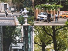 -海珠湖公园