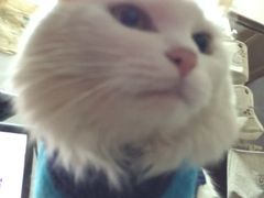 IMG_0538-严国平动物医院(德政总院)