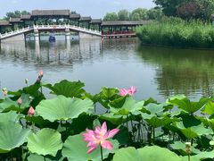 -西海子公园