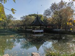 -上海醉白池公园