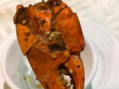 -石头咕(葵蓬店)