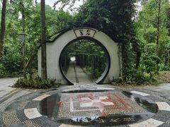 -广西壮族自治区药用植物园