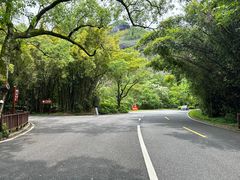 -飞凤山奥体公园