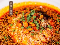 宫廷土鸡片-浣花锦绣(杜甫草堂店)