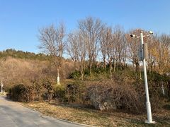 -南翠屏公园