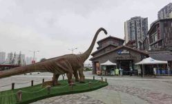 -恐龙探索乐园(磁器口店)