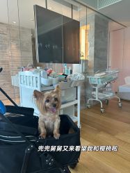 -baby bella小贝拉母婴护理中心(北京东隅店)