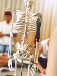 -水沐莲清瑜伽·普拉提