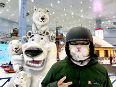 -广州热雪奇迹