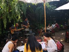 -Fern Forest Cafe
