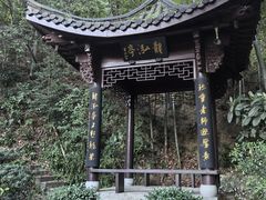 -十八棵（老龙井）御茶园(老龙井店)