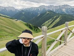 -果子沟大桥