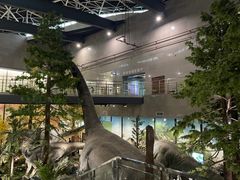 -湖南省地质博物馆