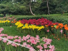 -长春公园(普阳街道)