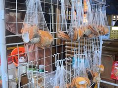 -蓝湾碧波·老字号·疍家非遗海上餐厅