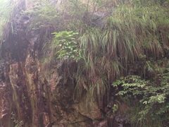 -众神白水涧景区