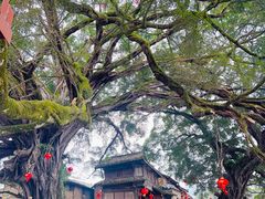 -福建土楼(南靖)景区
