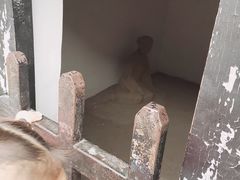 -内乡县衙博物馆
