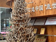 -北京鹿世界主题园