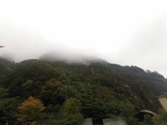 -牛背梁国家森林公园