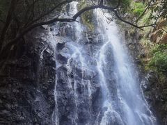 -马峦山郊野公园