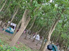-广富林郊野公园