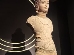 -四川大学博物馆