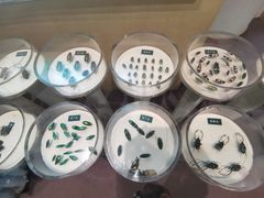 -陕西自然博物馆