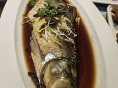 -七菜馆·东北菜·蒸饺(文体路店)