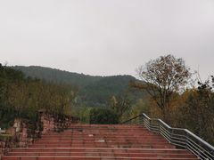 -铁山坪森林公园