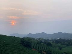 -帐篷客·溪龙茶谷度假酒店