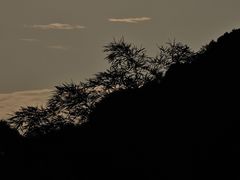 -午潮山国家森林公园