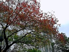 -苏州河梦清园环保主题公园