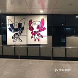 ONE DAY STREET  新宿駅