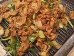 -大鸭梨烤鸭店(花园村店)
