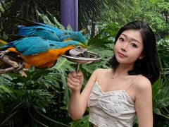 -灵玲国际马戏城