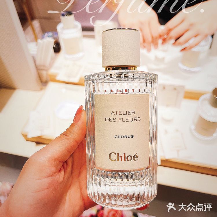 💝Chloe北国雪松｜清冷温柔的白富美高级香