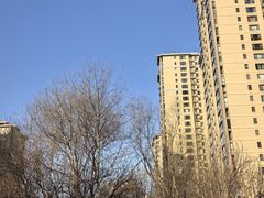 -北京大学口腔医院(第二门诊部)